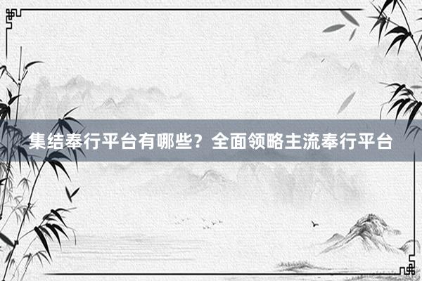 集结奉行平台有哪些？全面领略主流奉行平台